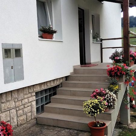 Guesthouse Bor Plitvice Lakes Plitvička Jezera Esterno foto