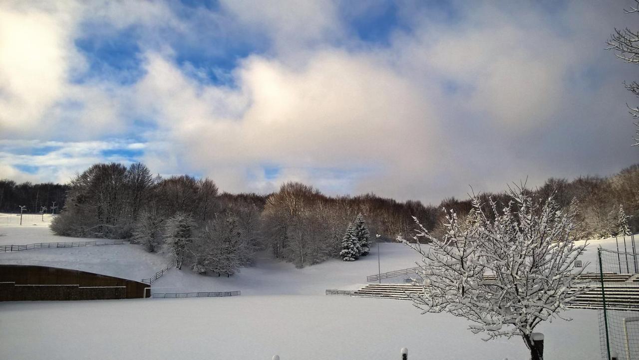 Guesthouse Bor Plitvice Lakes Plitvička Jezera Esterno foto
